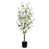 White is out of stock selected
