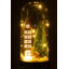 Christmas Decorative Accent-446154951