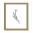 Gold Framed Paper is unavailable