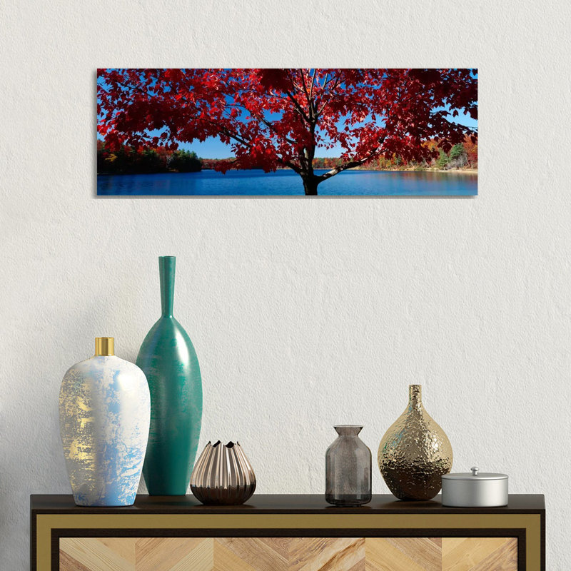 Close-up Of A Tree, Walden Pond, Concord, Massachusetts, USA - Wrapped Canvas Panoramic Print