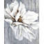 Fleur sur bois - décor de salon rustique, impression encadrée-552375246-552375244