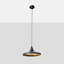 Luminaire suspendu simple noir et or