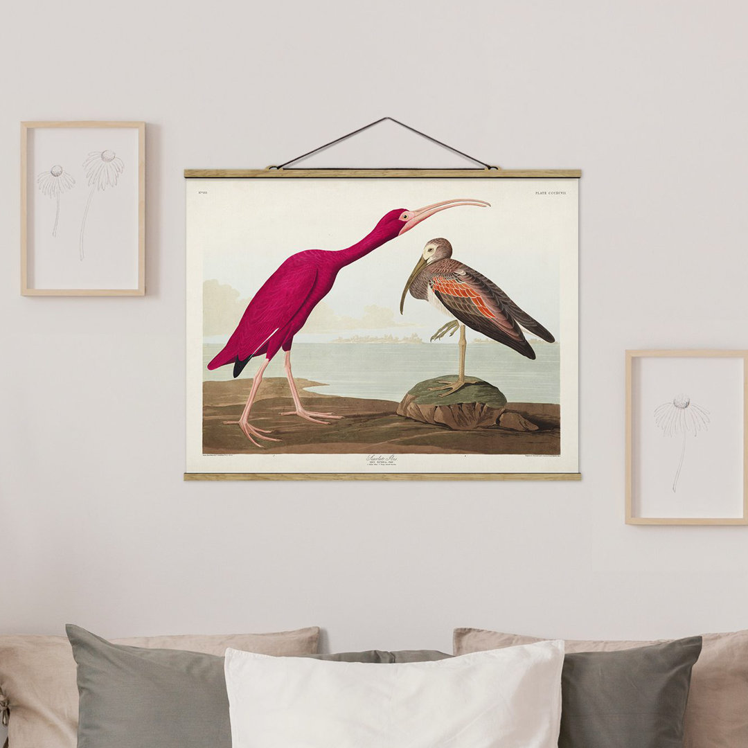 Stoffbild Mit Posterleisten - Vintage Lehrtafel Roter Ibis - Querformat 3:4