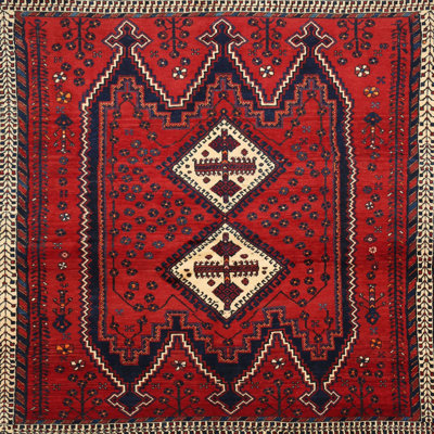 Oriental Indoor Rug