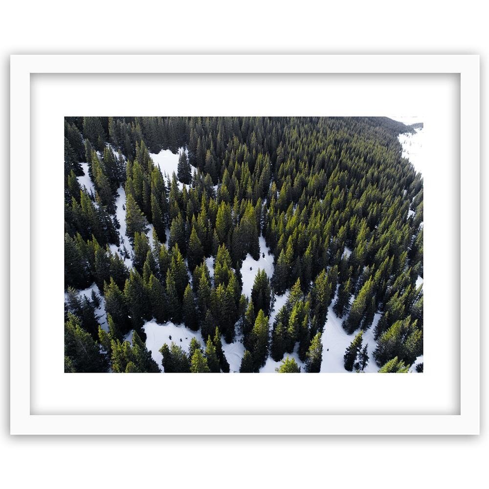 Gerahmtes Poster Wald im Schnee