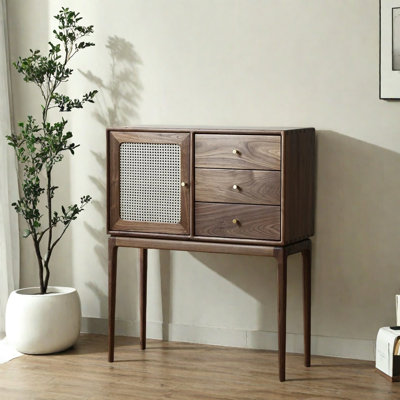 Armoire d'entrée moderne en bois massif minimaliste