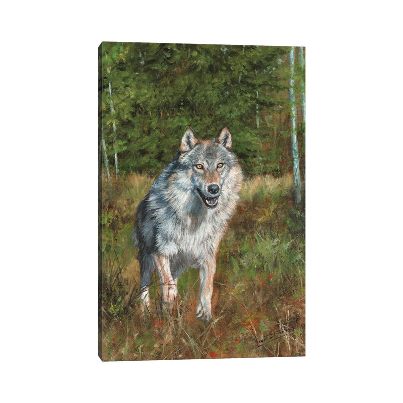 Wolf Running by David Stribbling - Wrapped Canvas Gallery-Wrapped Canvas Giclée, 30.48cm H x 20.32cm W