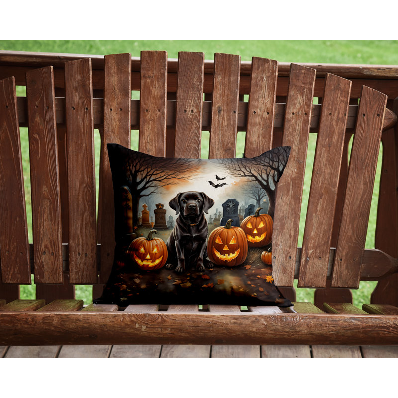  Housse et insert de coussin décoratif en polyester, 14 po x 14 po