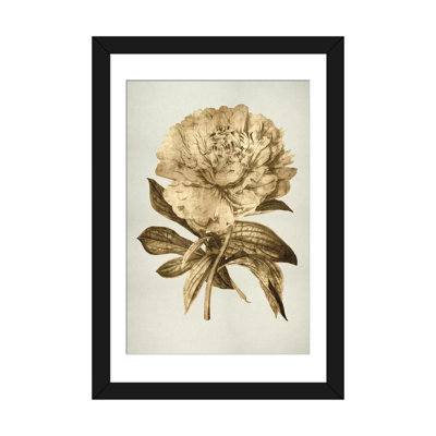 « gold tulip ii », reproduction d’art sur toile