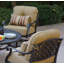 Chaise de patio pivotante avec coussins Frazee