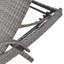 Ensemble de chaises longues d'extérieur en osier 80 po-1020509771