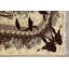 Tapis brun turc floral Borg