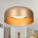 Neydi Acrylic LED Flush Mount