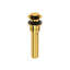 Push Drain with Overflow-466260288