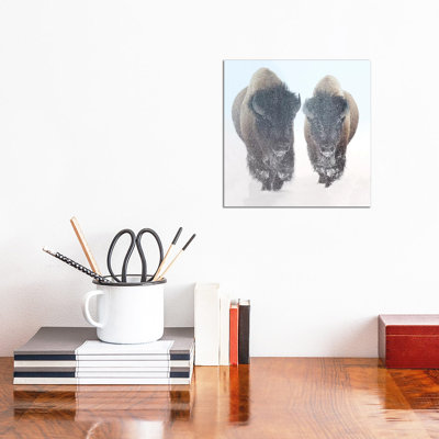 Two Bison In Snow by OLena Art - Wrapped Canvas Gallery-Wrapped Canvas Giclée