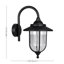 Springvale Black/Transparent Outdoor Wall Lantern