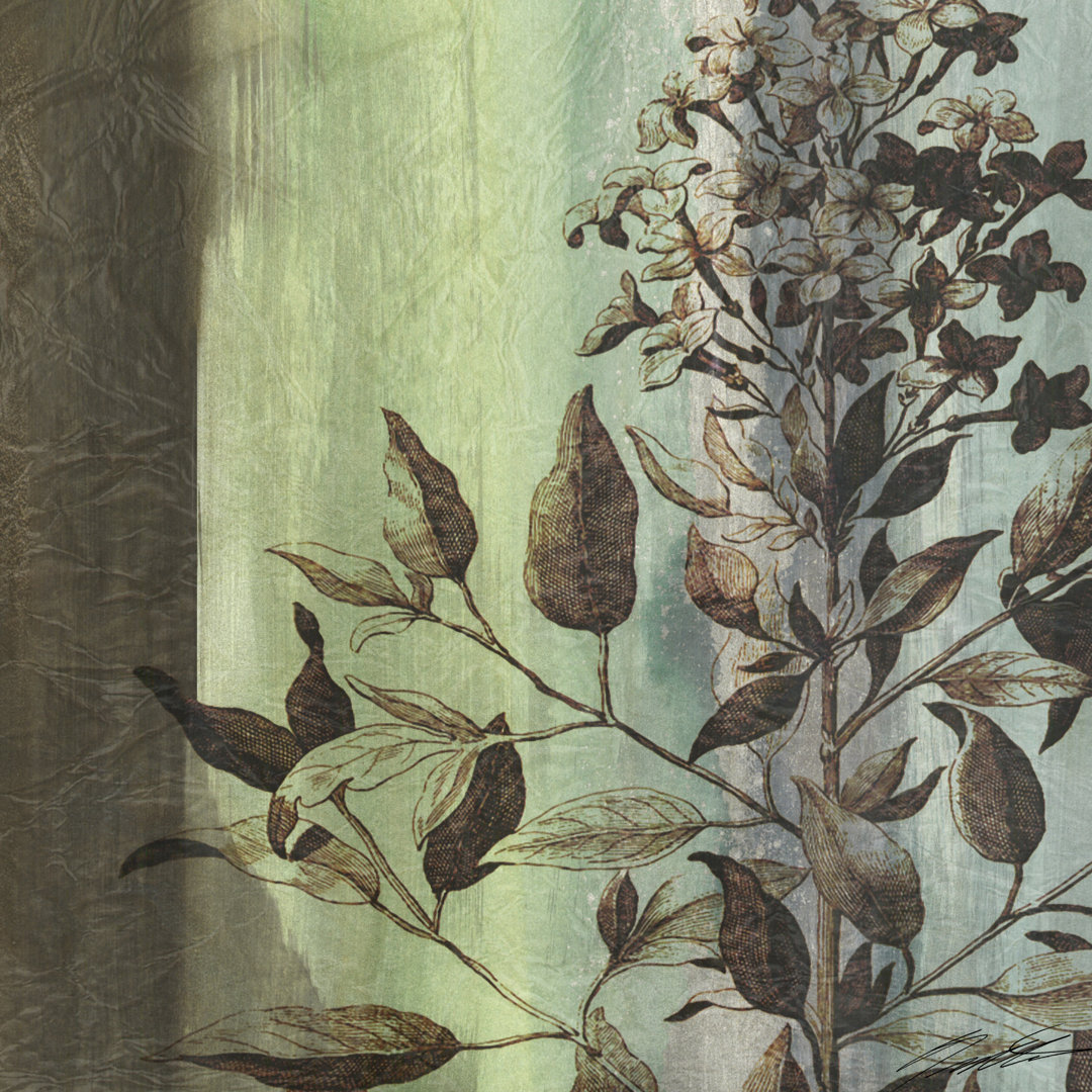 Leinwandbild Painted Botanical IV von John Butler