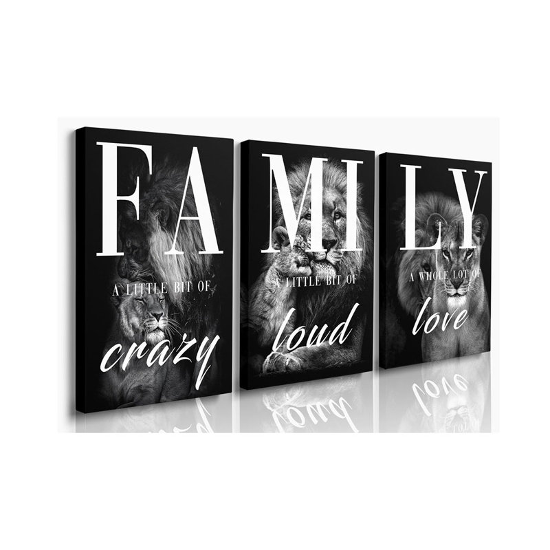 3 Piece Wrapped Canvas Print, 60 cm H x 40 cm W