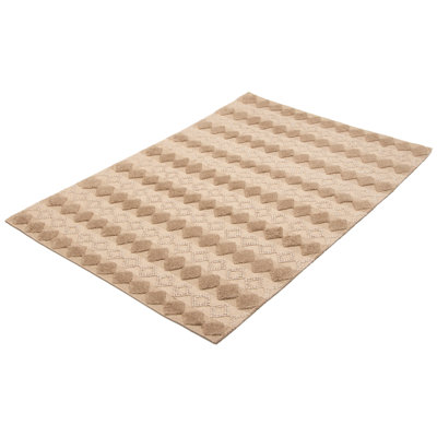 Iagulli Performance Hand Braided Wool Rug