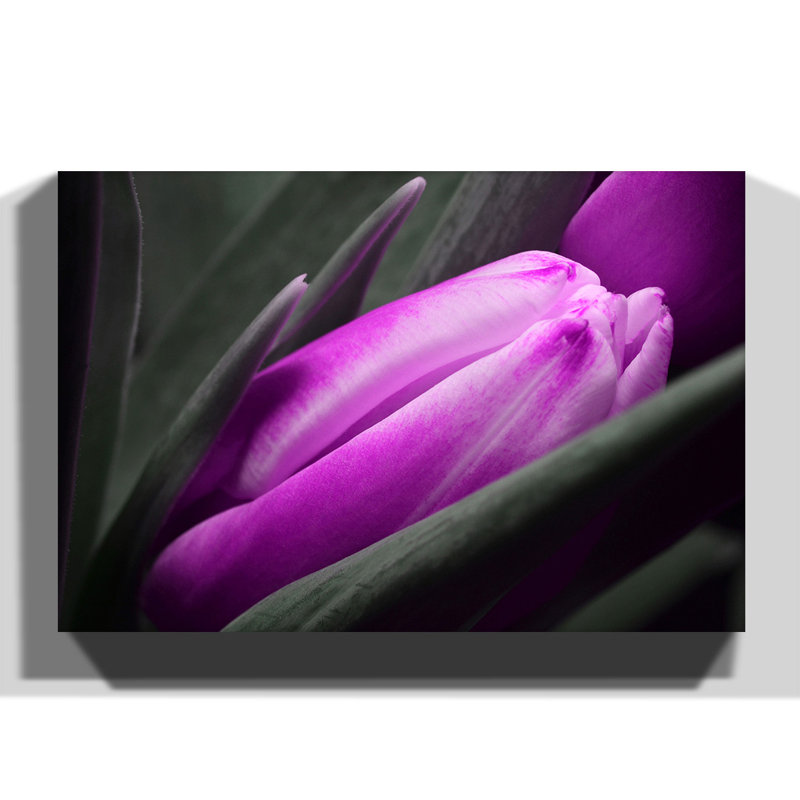 Wrapped Canvas Print, 70cm H x 100cm W