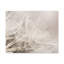 No Frame Print on Canvas-870291204