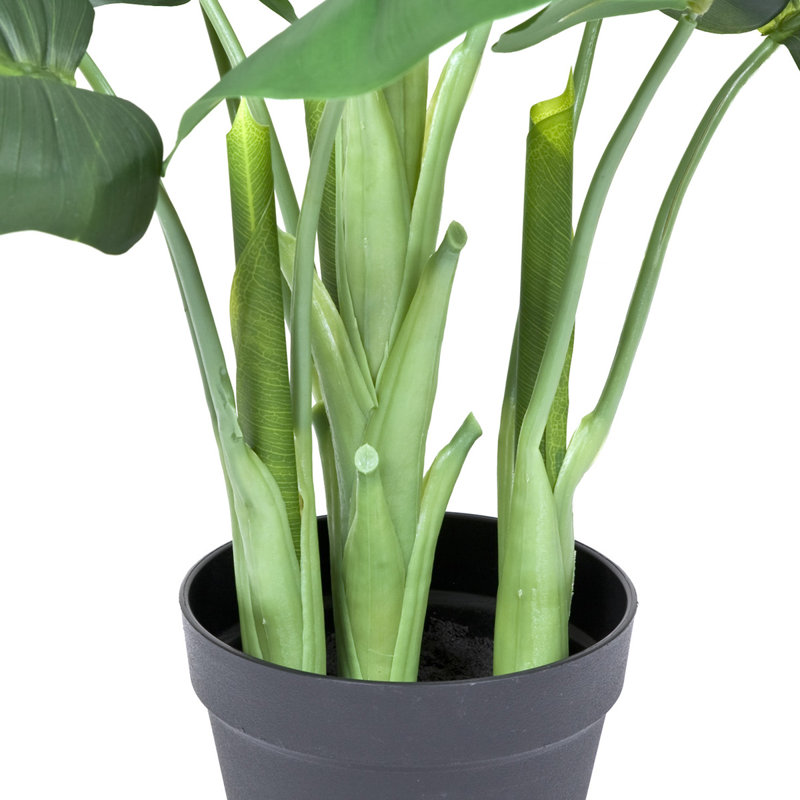 Plant, 110cm H x 35.5cm W x 19cm D