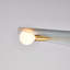 Sycamore Chandelier-1025452160-1025452163-1025452164
