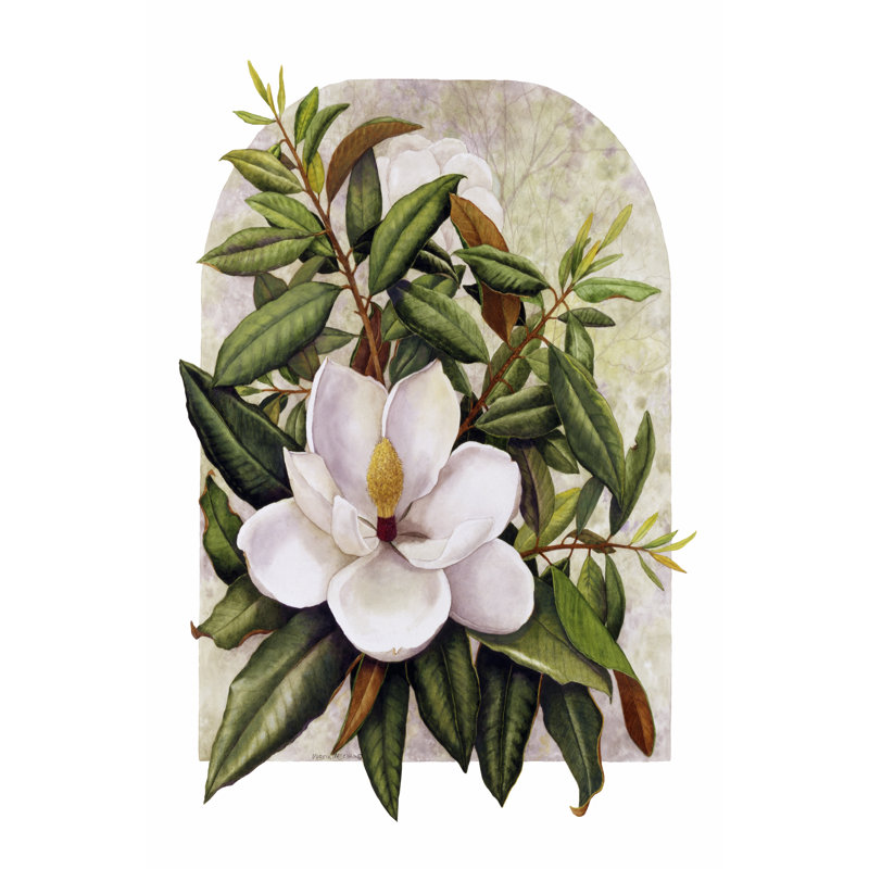 Magnolia Vignette - Wrapped Canvas Print, 30cm H x 20cm W
