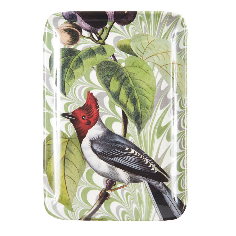 Winston Porter Royo Melamine Tray