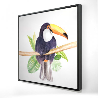 " Toucan "
