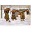 Vincent Van Gogh - Wrapped Canvas Painting-21457267