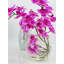 Centre de table avec 3 orchidées Real Touch-331604787