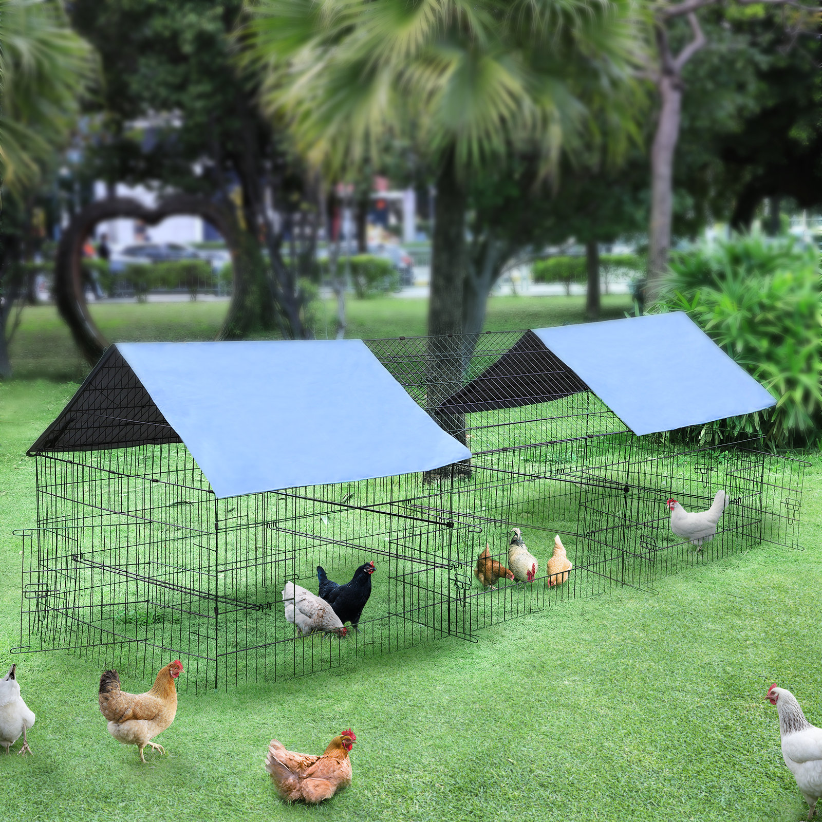 Tucker Murphy Pet Ciancio 25 1 37 4 Square Feet Chicken Run Lockable Tucker Murphy Pet Ciancio 25 1 37 4 Square Feet Chicken Run Lockable