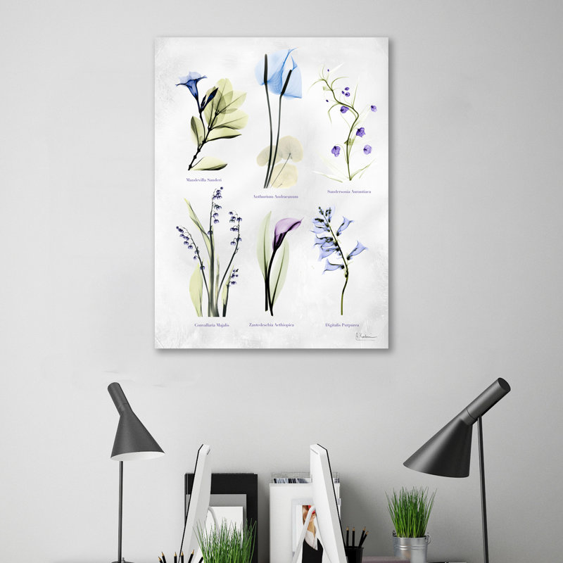 Vast Botanicals - Wrapped Canvas Print, 41 cm H x 30 cm W