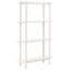 170 cm H x 110 cm W Bookcase