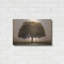 «The Hopeful Oak» par Debra Van Swearingen-398699361