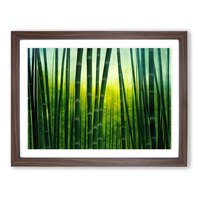 Cute Bamboo Forest - Framed Print