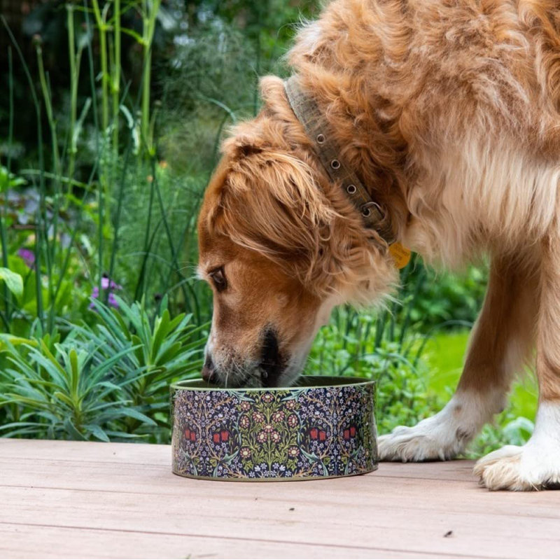 Ronnet Pet Bowl