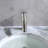 Single Hole Bathroom Faucet with Drain Assembly-20318009