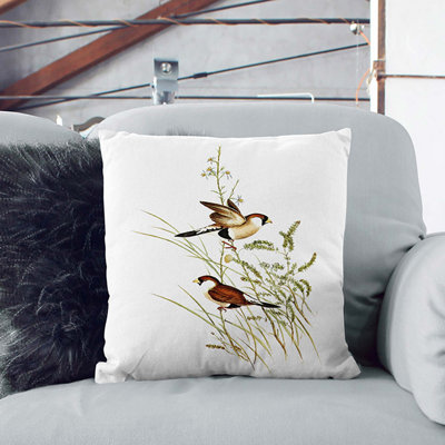 Double Eared Grass Finch Birds by Elizabeth Gould Cushion with Filling