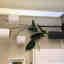 Photos des clients 1 de 1