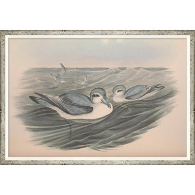Coastal Birds Giclee Print by Soicher Marin Archives