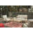 Arikka 55.5'' Wide Straight Eucalyptus Loveseat with Cushions