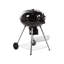 Dakota Fields Ajsha 58cm W Kettle Charcoal Grill
