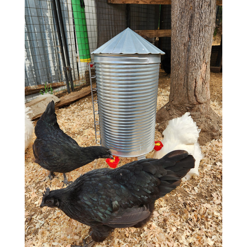 Silo Chicken Waterer
