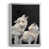 Argent
