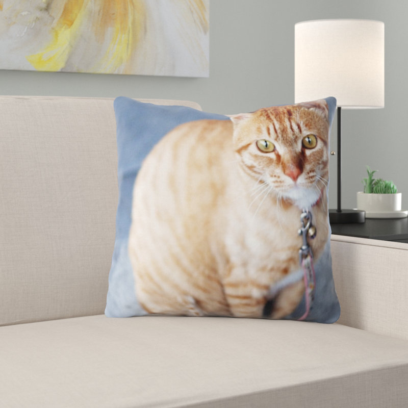 Coussin pour chat