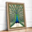 Peacock in Display Botanical - Framed Print-2032980372-2032980375