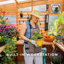 Ensemble de serre d'extérieur en bois de cèdre et polycarbonate de 12 pi x 7 pi avec PowerPort Backyard Discovery Zalie