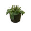 155cm Faux Flowering Plant in Pot